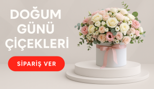 Doum Gn iekleri