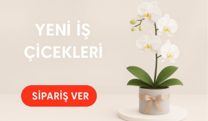 Yeni  iekleri