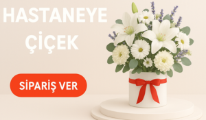 Hastane iekleri