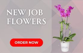 New Job Flowers