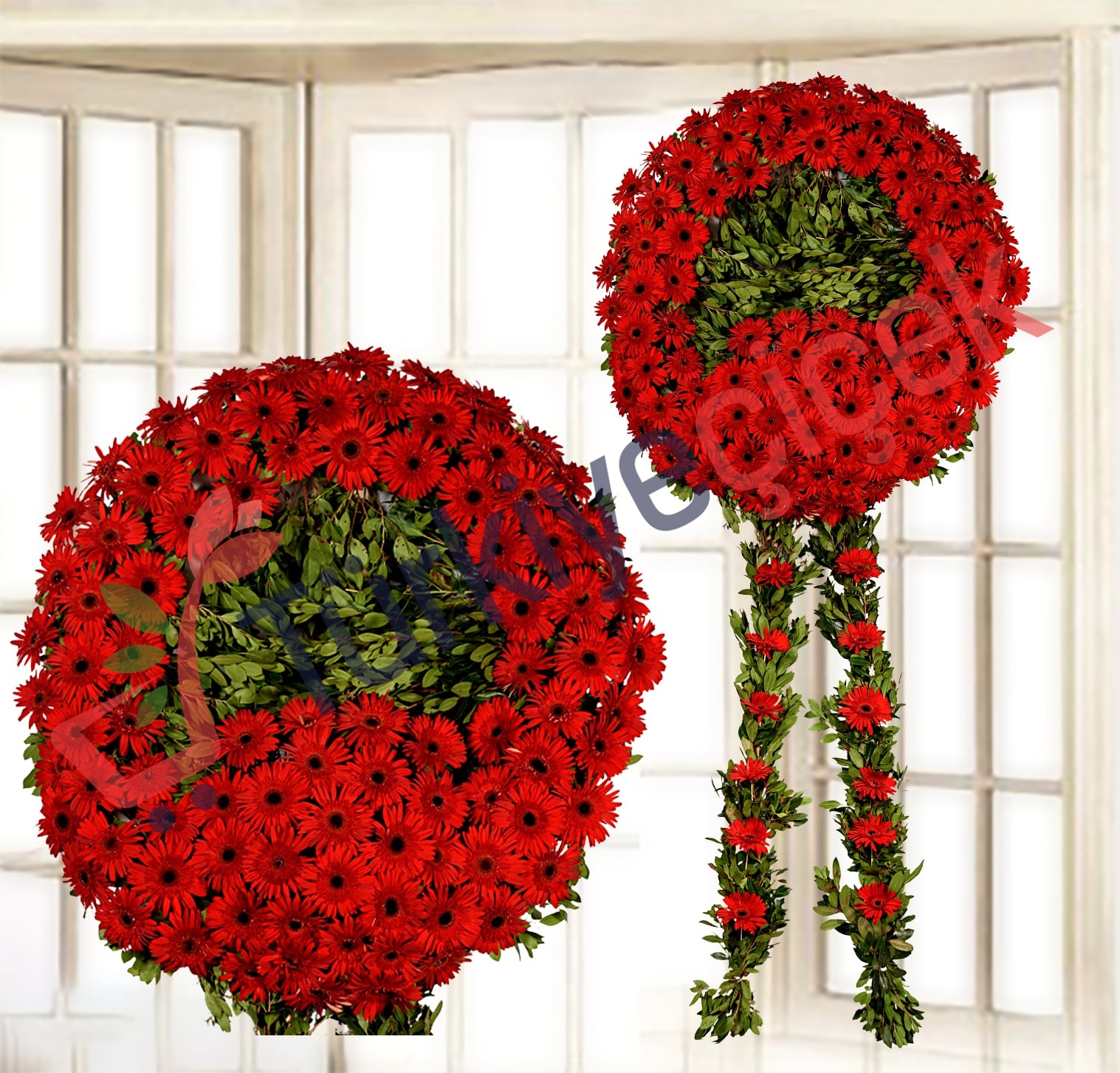 RED FUNERAL CELENK