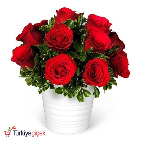  11 RED ROSE IN CERAMICS