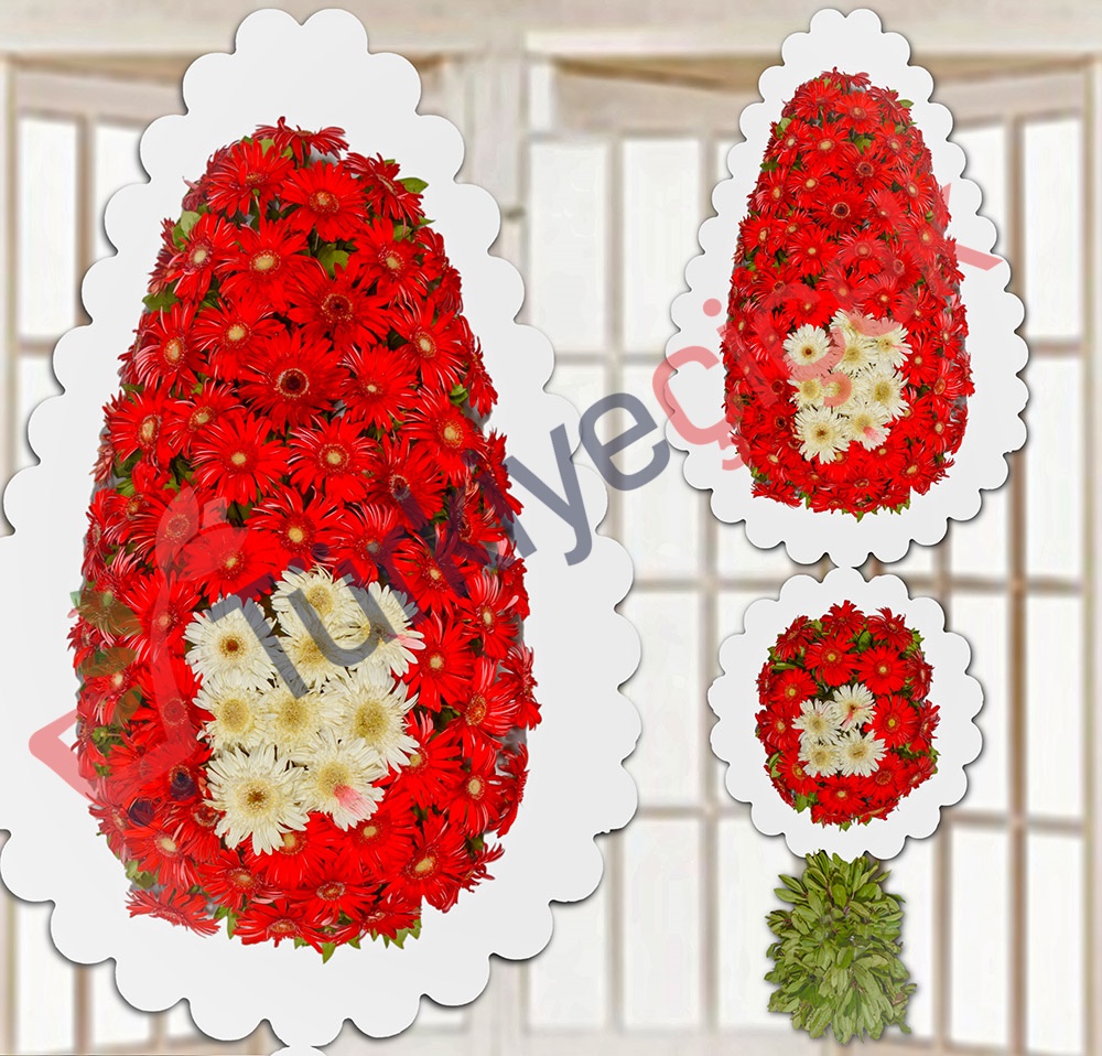 MODEL DOUBLE RED WHITE Bridal Veil  