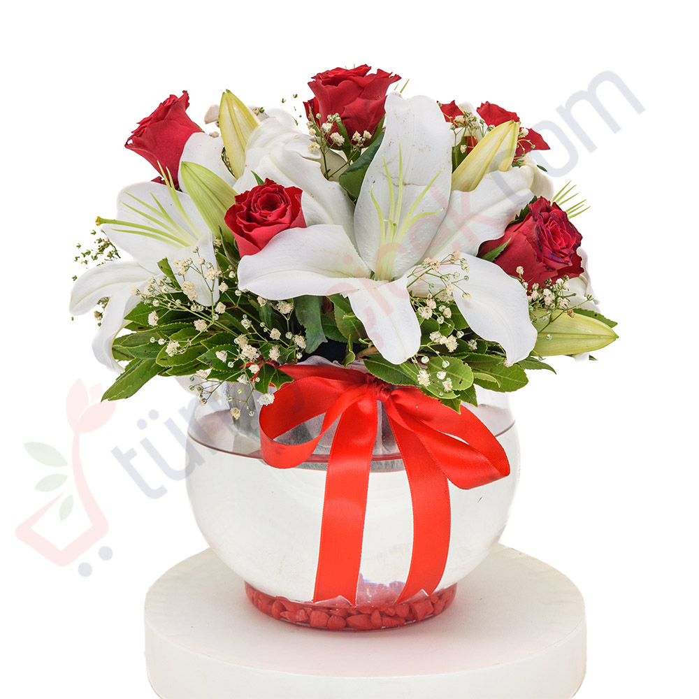 FANUS N ROSE AND LILYUM