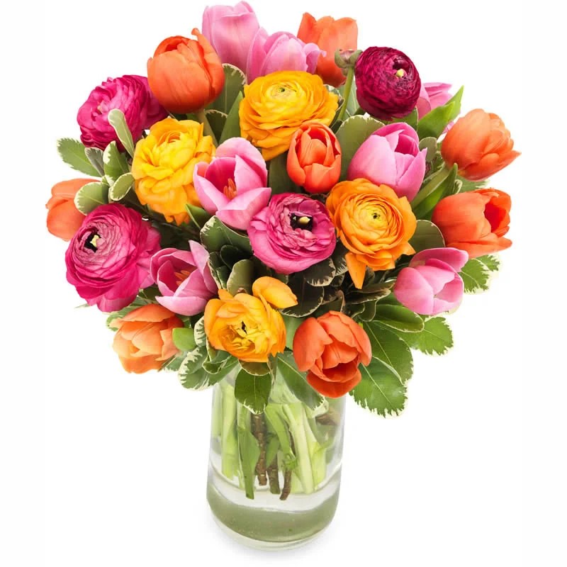 Germany Flower 03