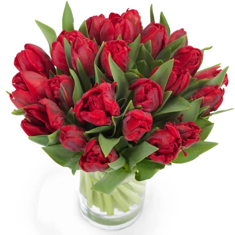Germany Flower 024