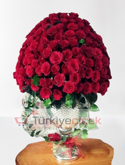 200 PIECES OF RED ROSES 