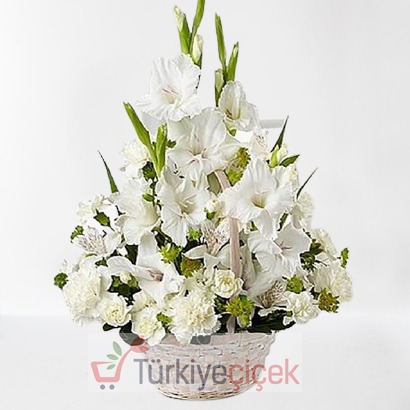 BEYAZ ARAJMAN