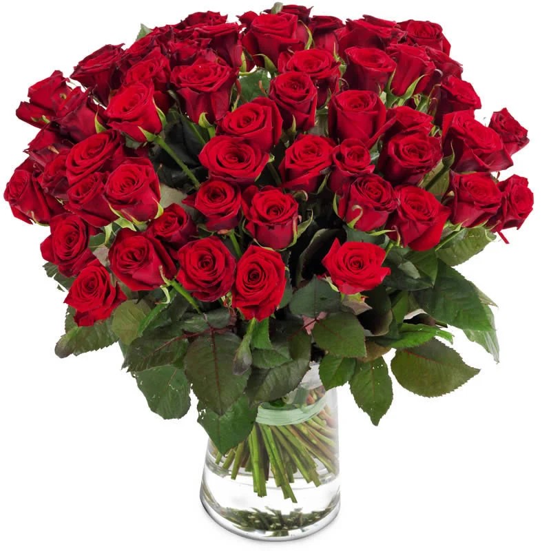 Germany Flower 031
