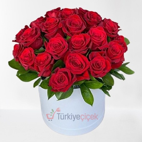 25 RED ROSES IN BOX