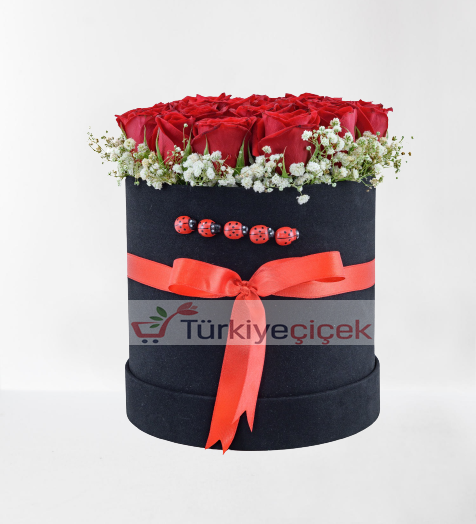 20 PIECE RED ROSE IN BOX