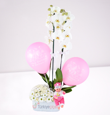 BABY GIRL ORCHIDS
