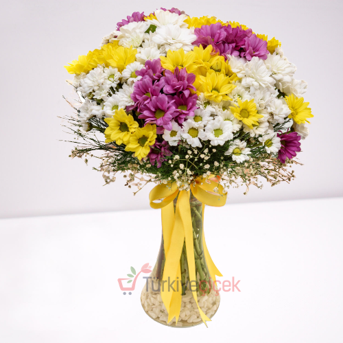 COLORFUL WLDFLOWERS