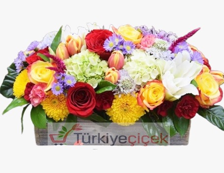  COLORED FLOWER GARDEN